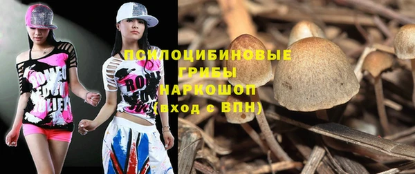 spice Протвино